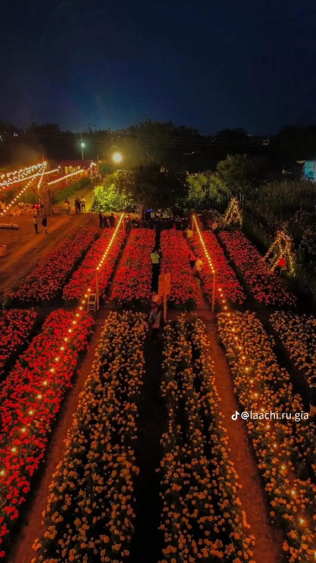 El jardín encendido, visto desde lo alto